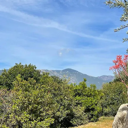 Amacali Vue Piscine Chauffee Climatisee