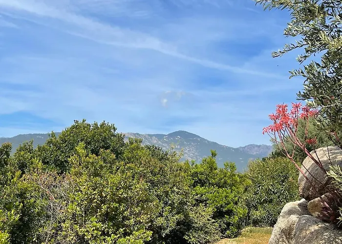 Amacali Vue Piscine Chauffee Climatisee