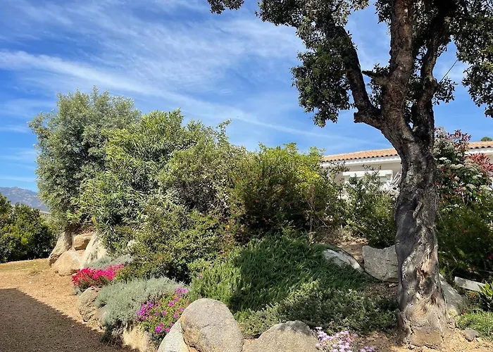 Vila Amacali Vue Piscine Chauffee Climatisee *